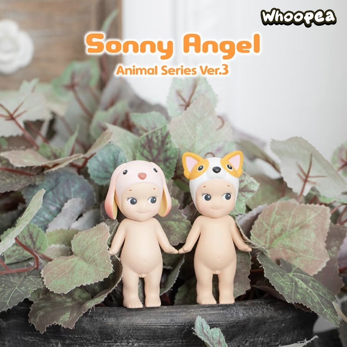 Sonny angel animal series 3   アソートボックス Sonny Angel Animal Series 3 Blind Box – Maneki Neko