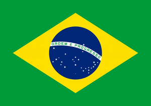 Flag 18