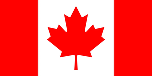 Flag 41
