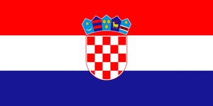 Flag 3
