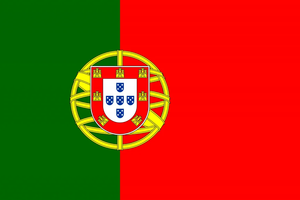 Flag 4