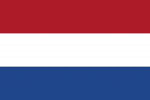 Flag 6