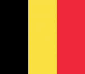 Flag 8