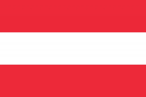 Flag 9
