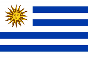 Flag 20