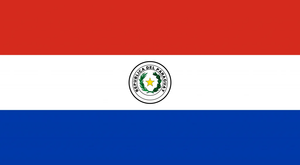 Flag 22
