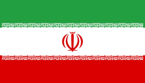 Flag 24