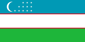 Flag 26