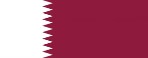 Flag 29