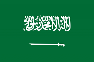 Flag 30