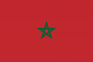 Flag 31