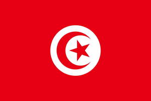 Flag 32