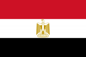 Flag 33