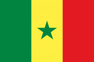 Flag 38