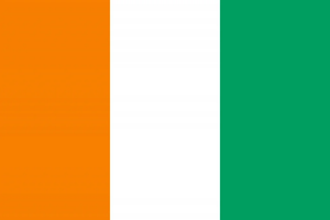 Flag 39