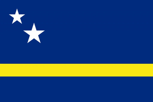 Flag 45