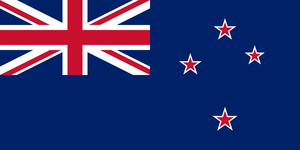 Flag 46