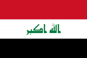 Flag 48