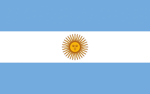 Flag 17