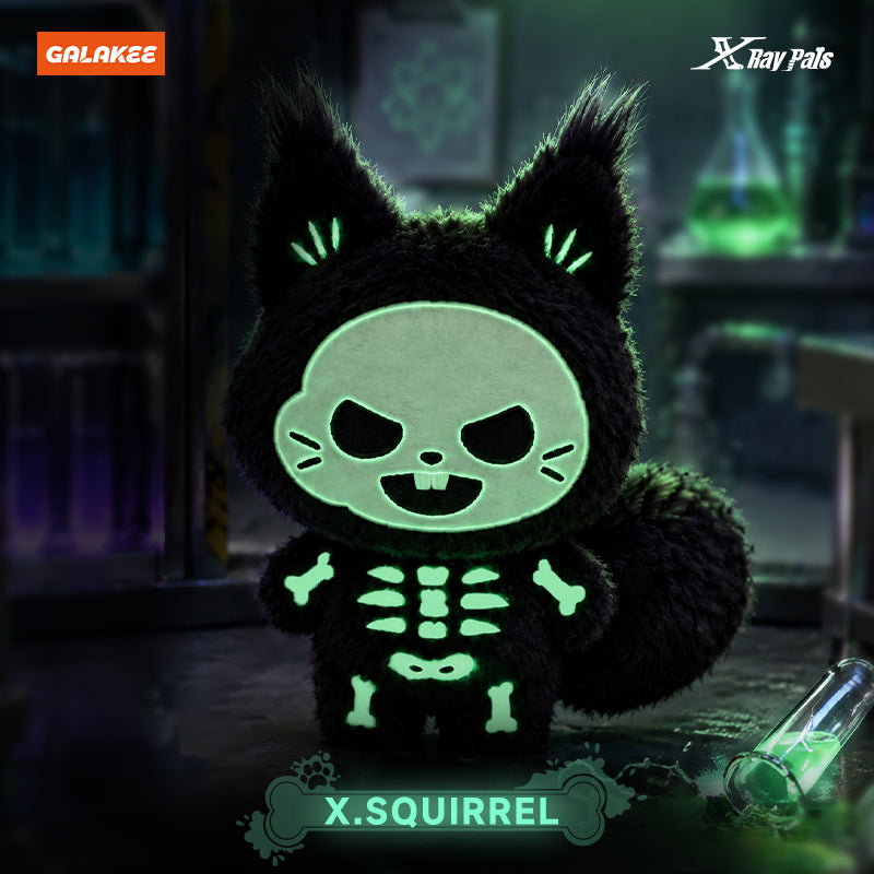 X-RAY PALS Glow in the Dark Series Plush Pendant Blind Box (PRE-ORDER)
