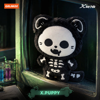 X-RAY PALS Glow in the Dark Series Plush Pendant Blind Box (PRE-ORDER)