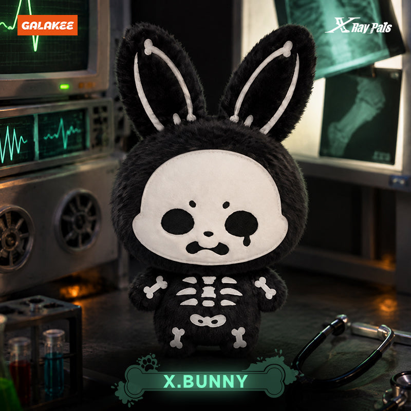 X-RAY PALS Glow in the Dark Series Plush Pendant Blind Box (PRE-ORDER)