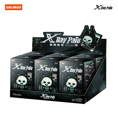 X-RAY PALS Glow in the Dark Series Plush Pendant Blind Box (PRE-ORDER)