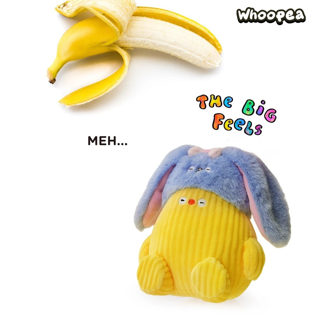 ふっさんGOOD NEWS チャーリー、Lightbox FLABJACKS THE BIG FEELS Series Plush Pendant Blind Box – WHOOPEA