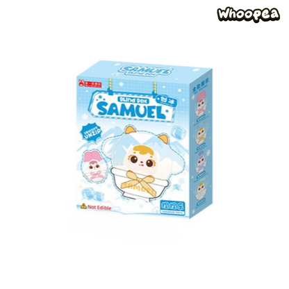 Samuel Shaved Ice Series Squishy Blind Box