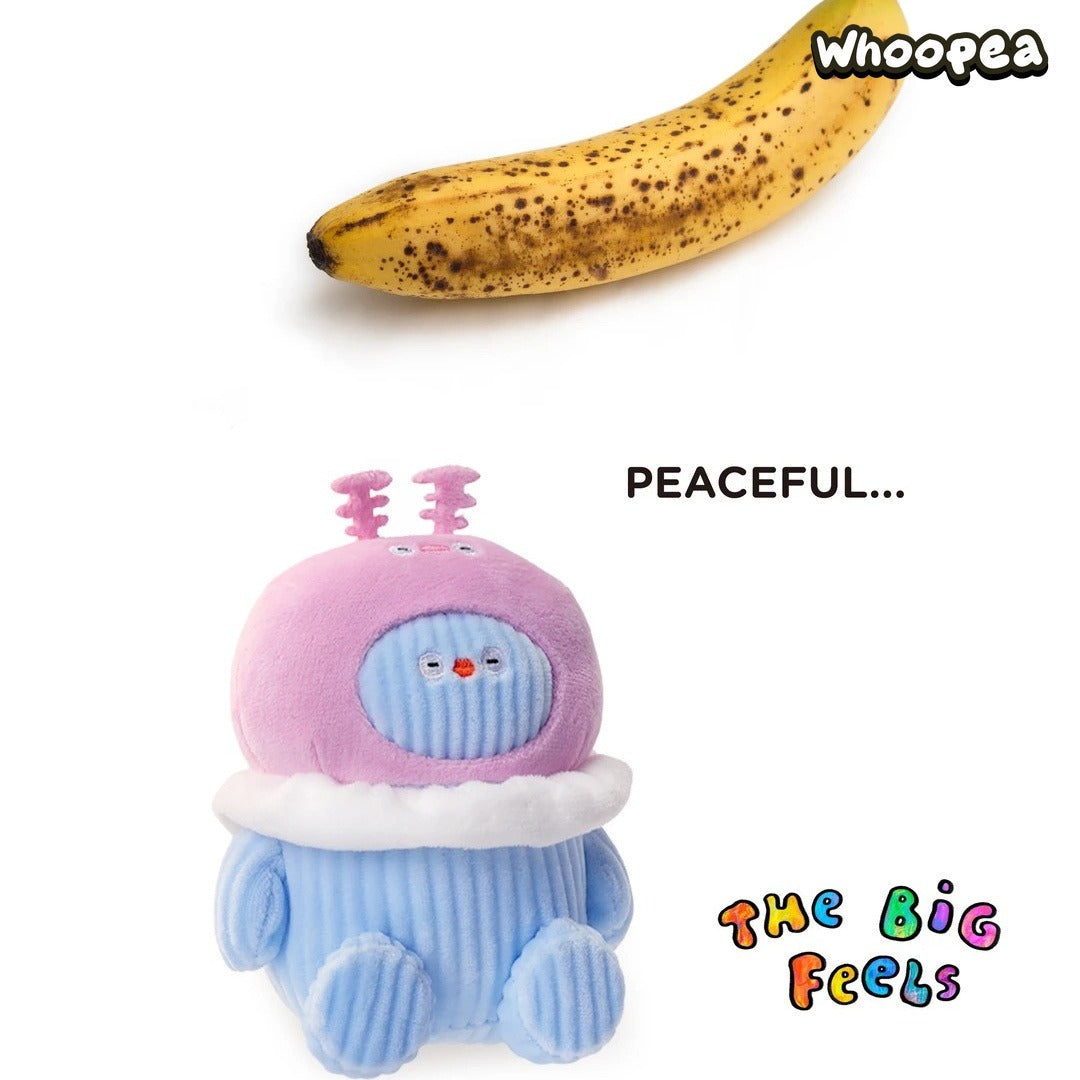 FLABJACKS THE BIG FEELS Series Plush Pendant Blind Box – WHOOPEA